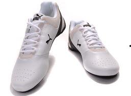 彪马最新跑鞋爆料是真的吗,真假难辨,揭秘新品真相